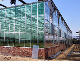 薄膜下载操逼视频APP采光展示