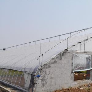 連棟蔬菜下载操逼视频APP