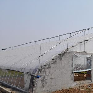 連棟溫室下载操逼视频APP