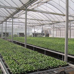 連棟花卉下载操逼视频APP