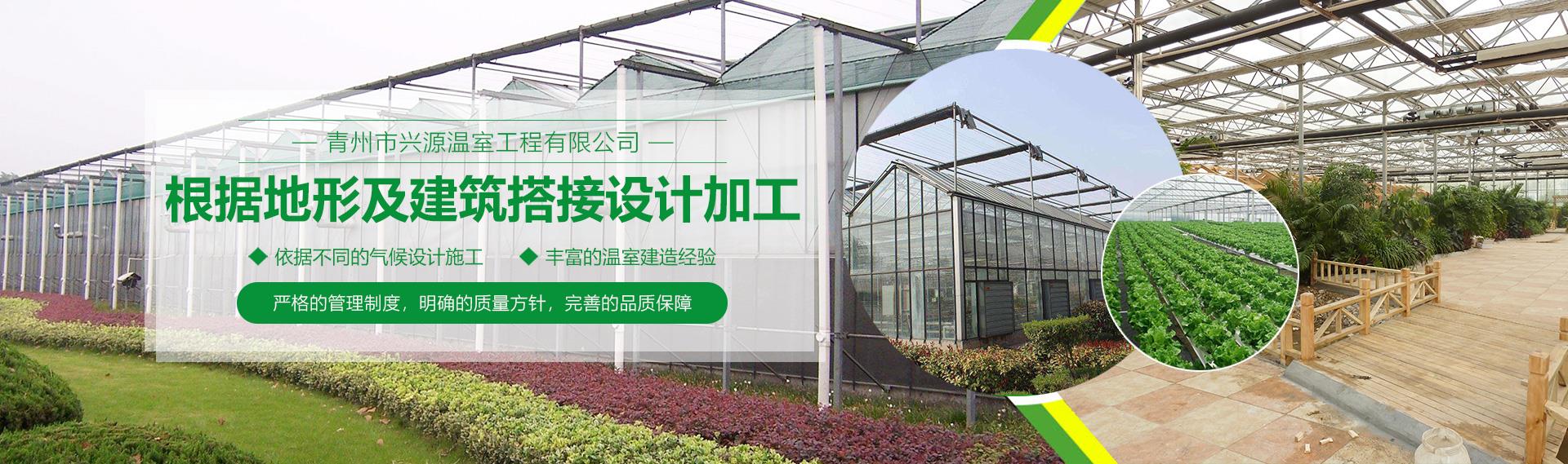 公司污黄操逼网站